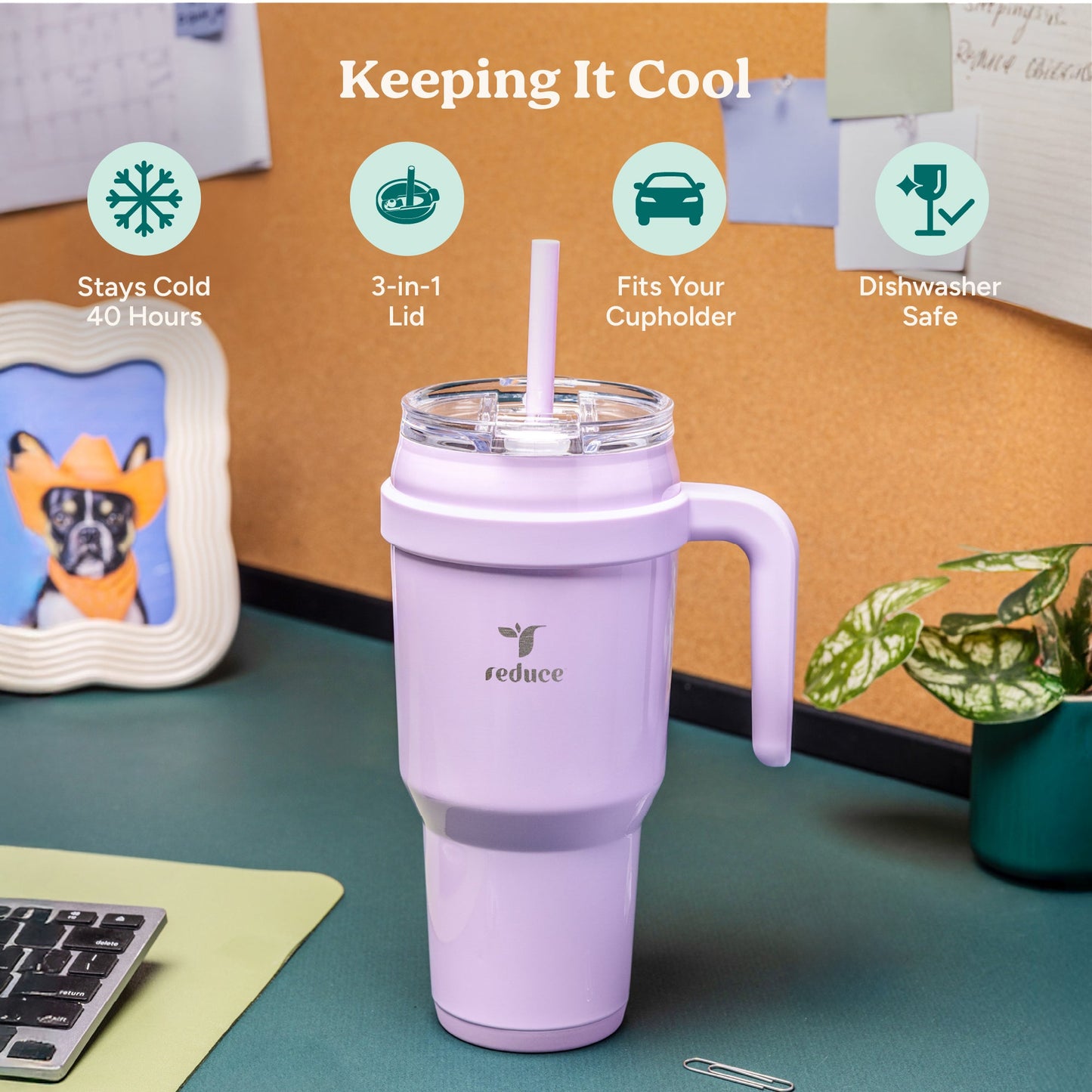 cold1-40-oz-z1 Cold1_40oz_PalmLeaf_Infographic_1.jpg