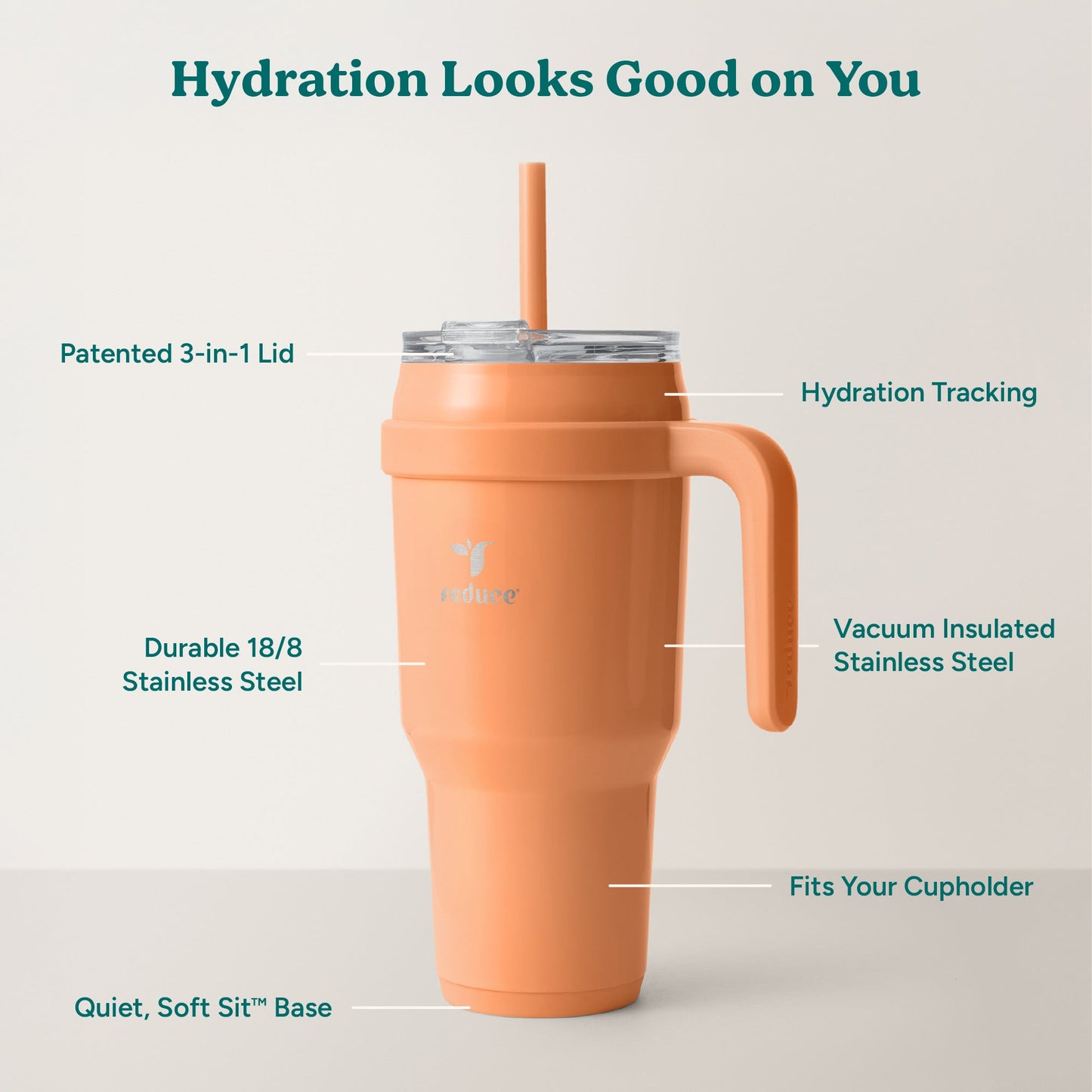 cold1-40-oz-z1 Cold1_40oz_Papaya_Infographic_2.jpg