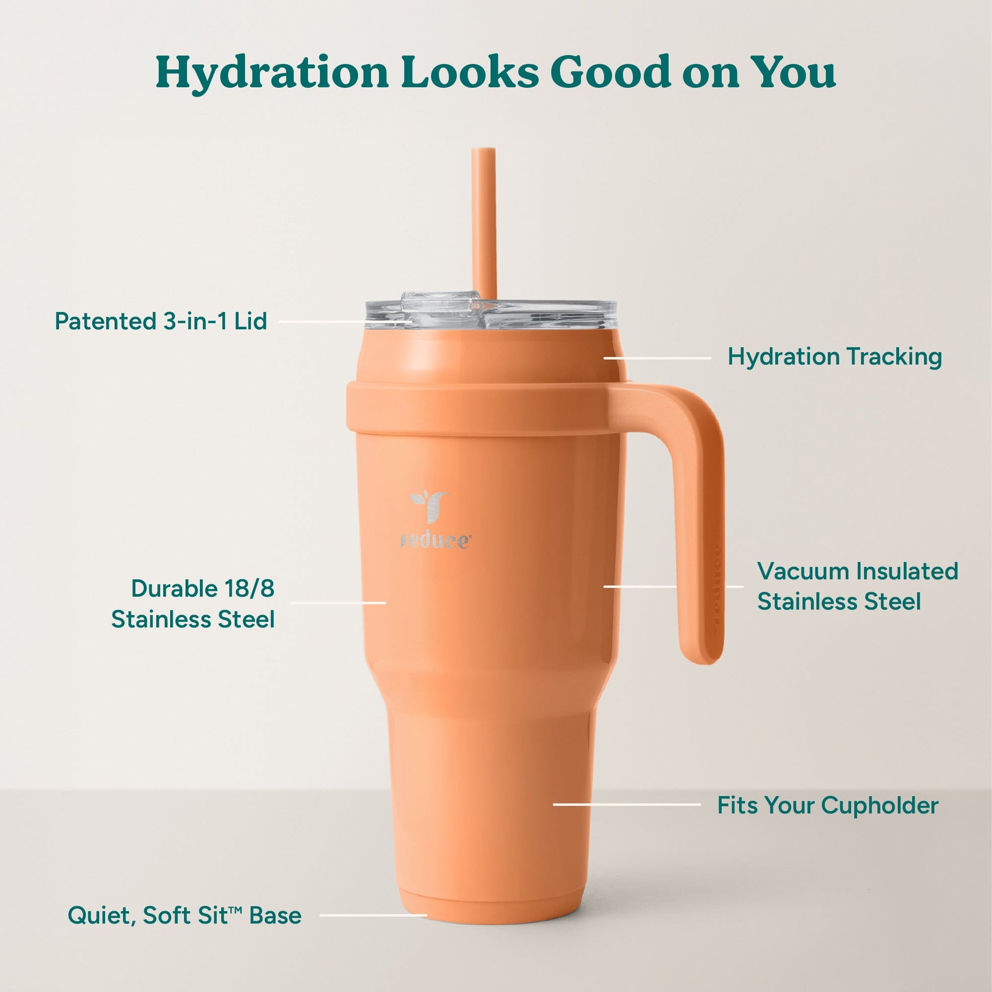 cold1-40-oz-z1 Cold1_40oz_Papaya_Infographic_2.jpg