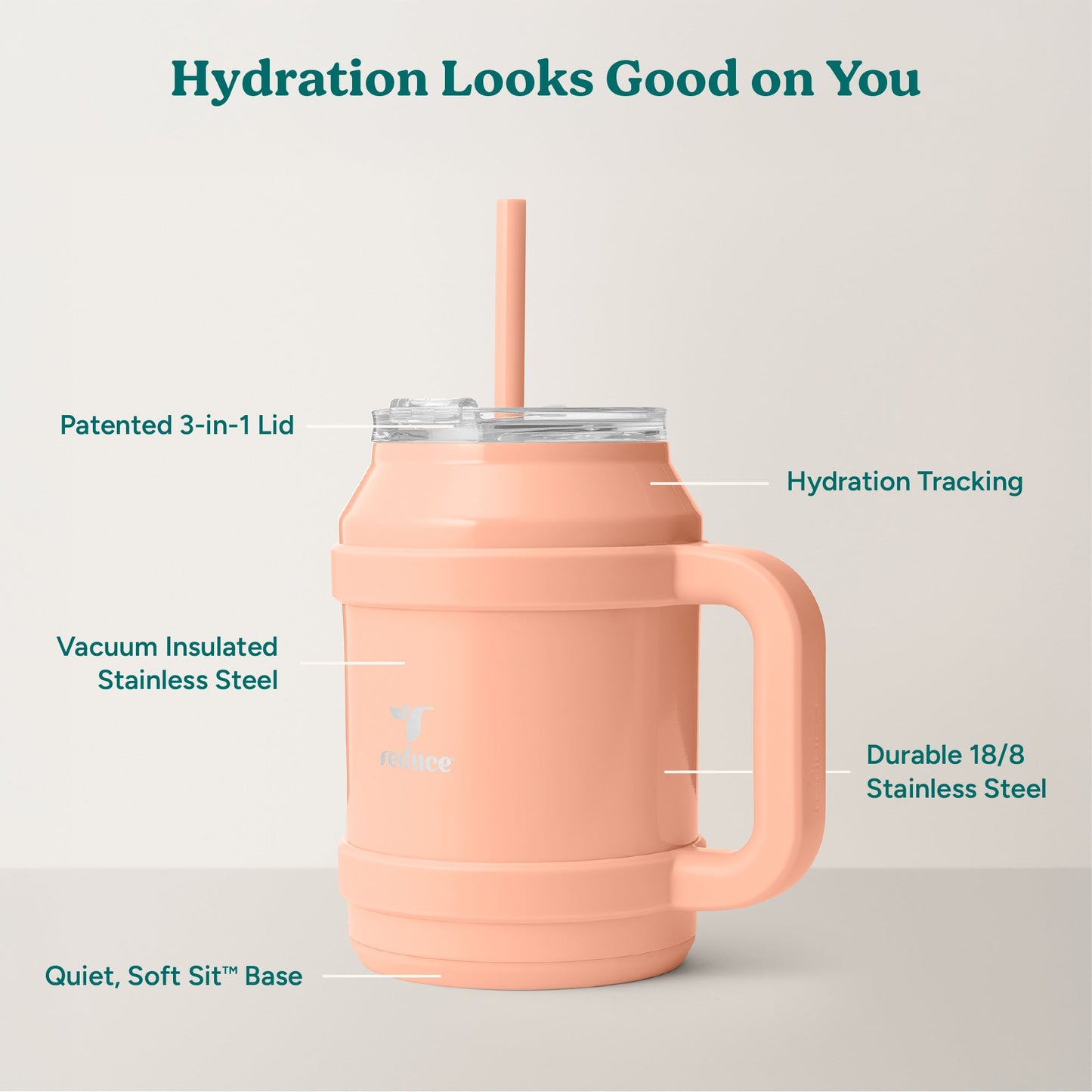 cold1-desktop-50-oz-q8 Cold1_50oz_Desktop_Sedona_Infographic_2.jpg